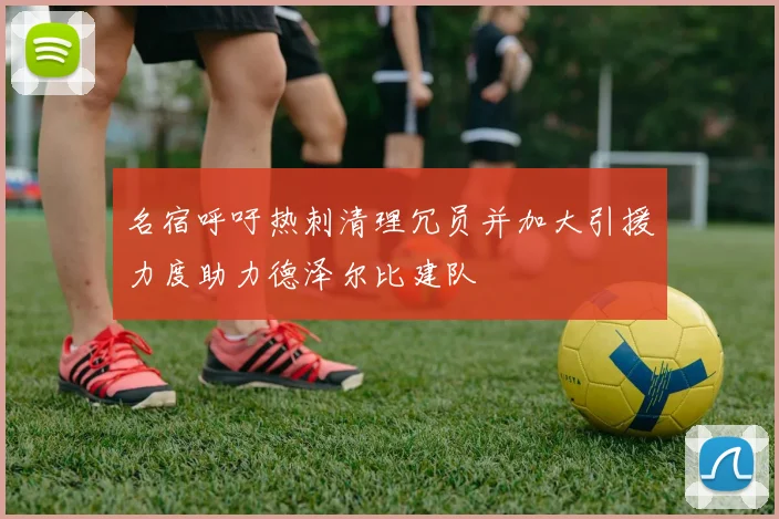 名宿呼吁热刺清理冗员并加大引援力度助力德泽尔比建队