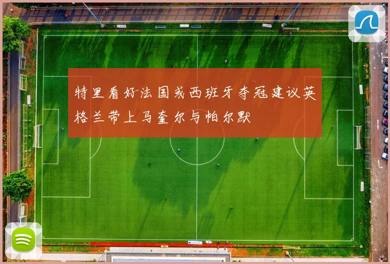 特里看好法国或西班牙夺冠建议英格兰带上马奎尔与帕尔默